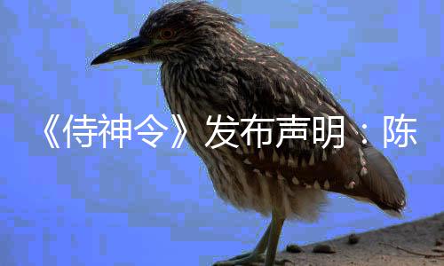 布声明影唯一男主角为电陈坤发侍神令
