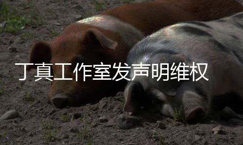被包认已婚出养传丁真工作轨维权闻 否室发声明