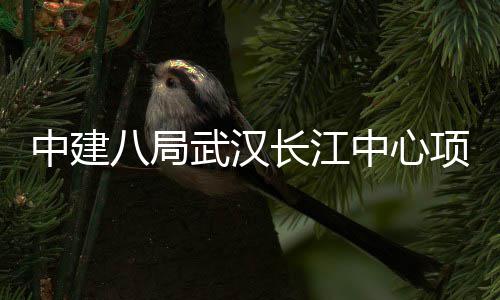 八局千人大会项目举行中建中心武汉长江誓师
