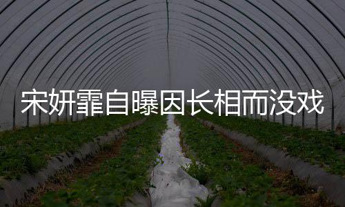 还曝因题戏拍纪中技问而没 张长相霏自宋妍是演